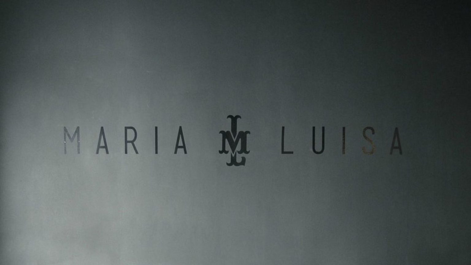 María Luisa León: The Life, Legacy, and Untold Story of a Remarkable Woman